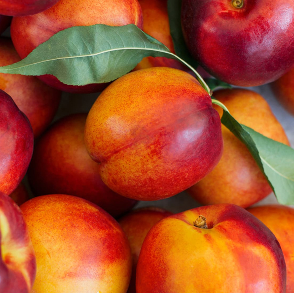Nectarine!
